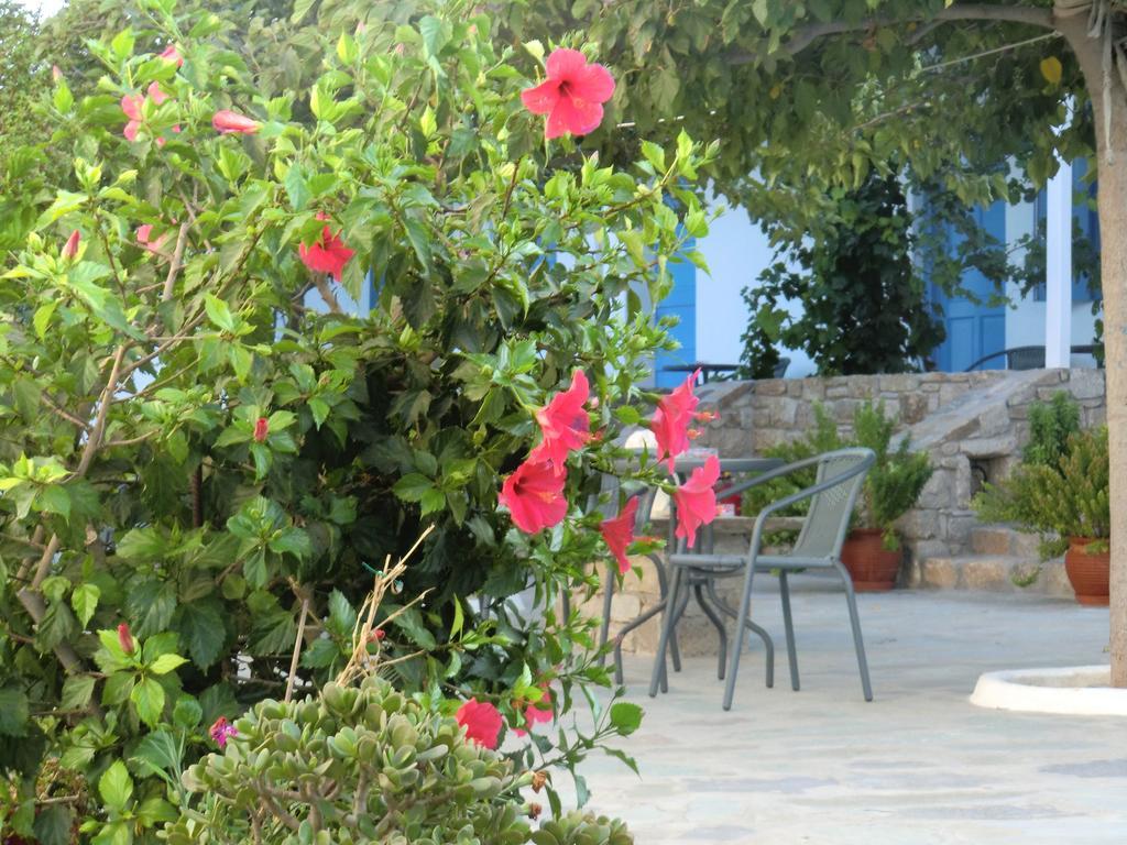 Mykonos Vouniotis Rooms Mykonos Town Exterior photo